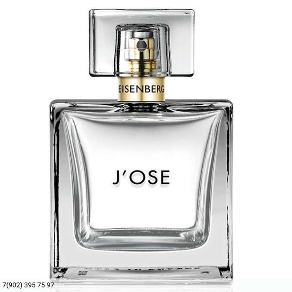 Jose Eisenberg J`ose