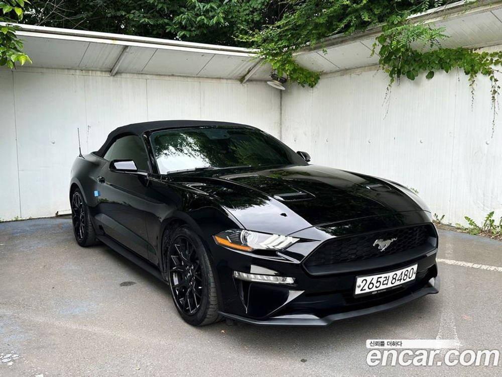 Ford Mustang Convertible (01.2020)