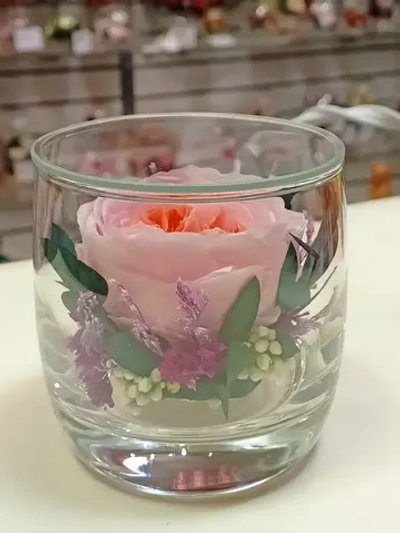 натуральный пион в стекле, вакуум*