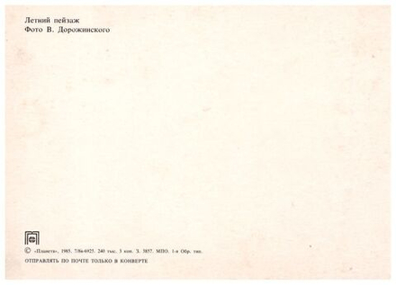 Почтовая открытка СССР Летний пейзаж Фото В. Дорожинского