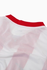 Футболка Nike Striped Division V Junior