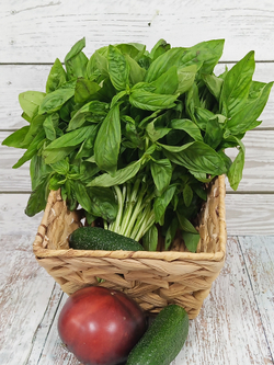 Базилик зеленый