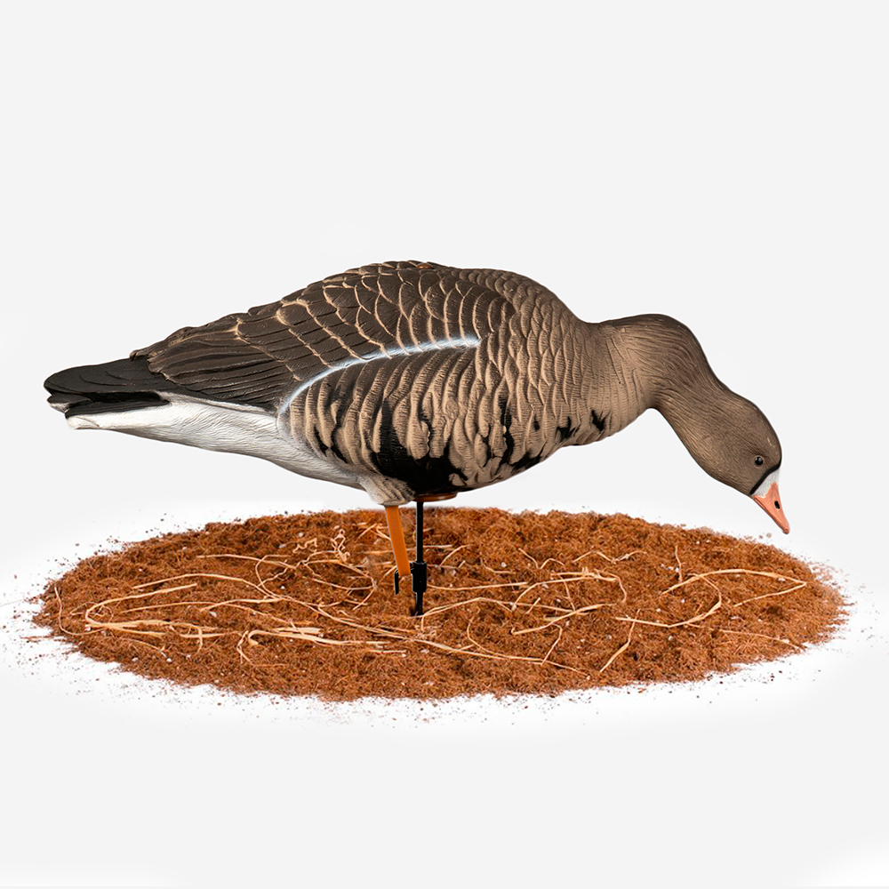 Белолобый гусь Duck Mania "ALFA"