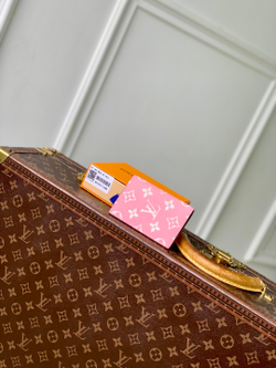 Louis Vuitton Pocket Organizer
