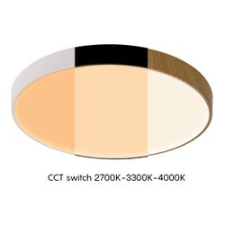 8839 Потолочный светильник CUMBUCO II