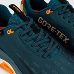кроссовки Nike Infinity Run 4 GTX Green