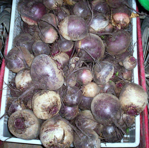 Свёкла - Местная Отборная