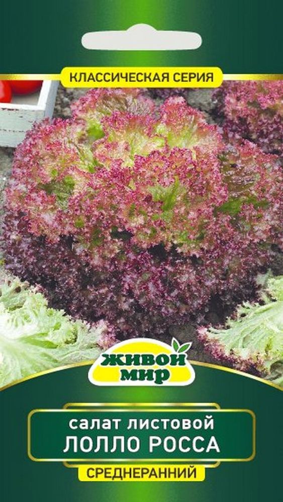 Салат листовой "ЖМ. Лoллo Рocca" 1г., Италия.