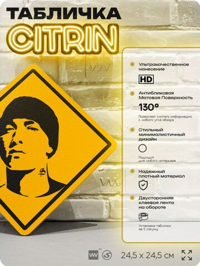 Табличка декоративная "Эминем, Eminem" на дверь и стену, прикольная штука в подарок, декоративный знак, 24,5х24,5 см, пластиковая, Айдентика Технолоджи