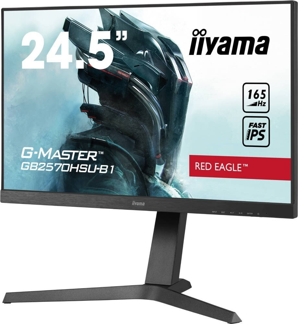 Монитор LCD 24.5'' Iiyama GB2570HSU-B1 Black