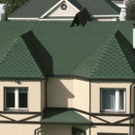 Черепица гибкая Katepal Katrilli Зелень моховая