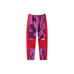 Брюки THE NORTH FACE TNF x KAWS Logo, NF0A7WLS-76G