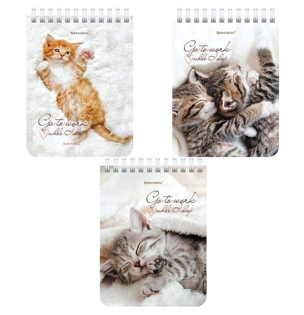 Блокнот А6 40л,клетка, на гребне "Милые котята" (BRAUBERG)