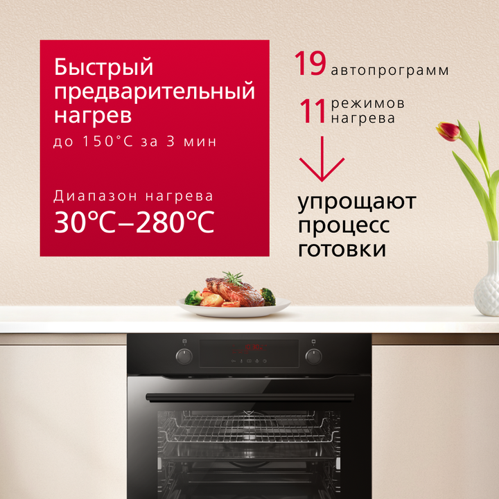 Духовой шкаф Hansa Pro Chef BOESS696001