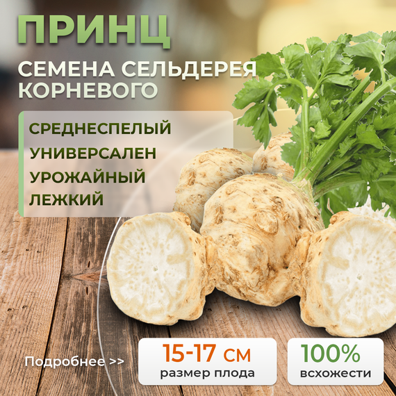 ПРИНЦ семена сельдерея (Nunhems | Alexagro) – фото 1