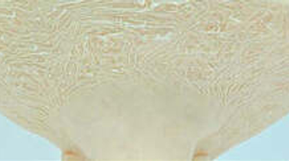 Использование растворимой нити для создания поддержек