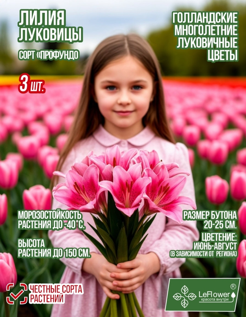 Лилия Луковица, Профундо, 3 шт