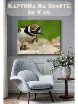 Картина на стену 40 X 50 Птица