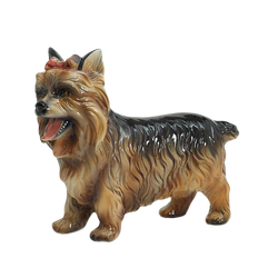 Boxer Йоркширский терьер