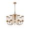 Подвесная люстра Favourite Energy 2926-7P