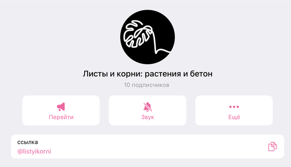 Подключайтесь к нашему telegram-каналу