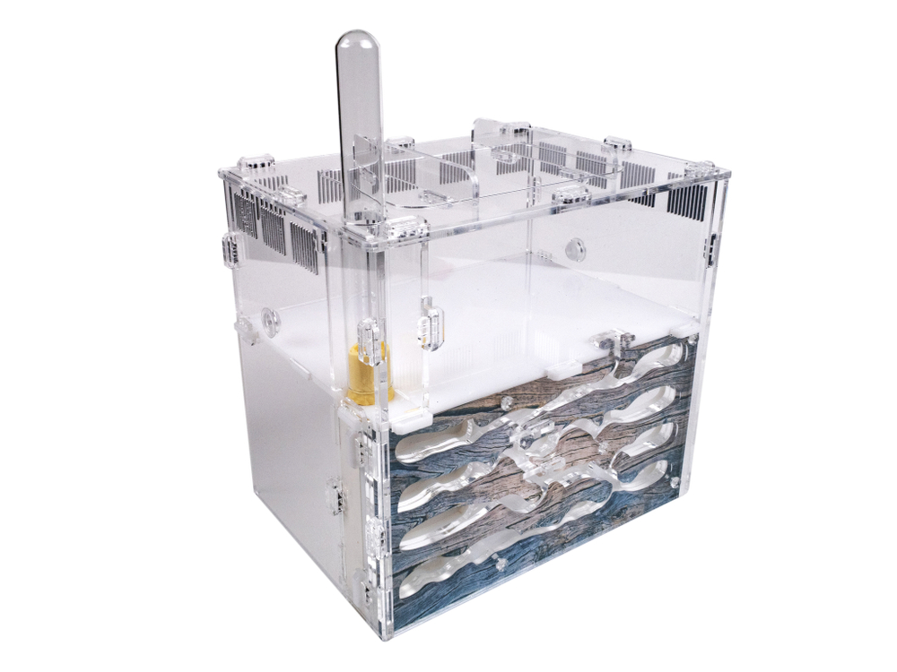 Муравьиная ферма Архипелаг