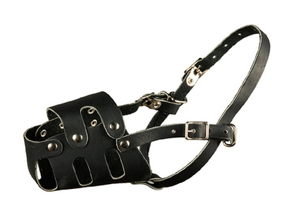 КАСКАД Намордник кожаный цельнокроеный №0