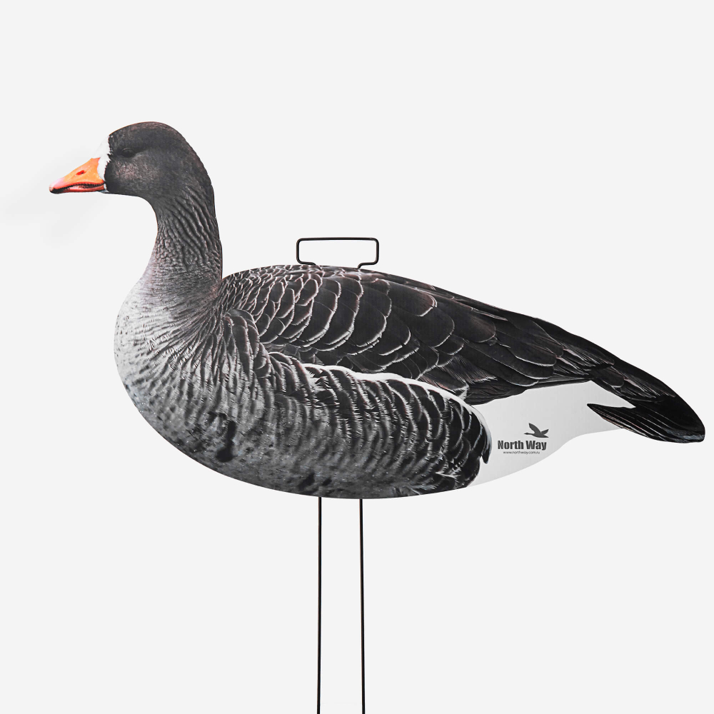 Профиля белолобого гуся North Way