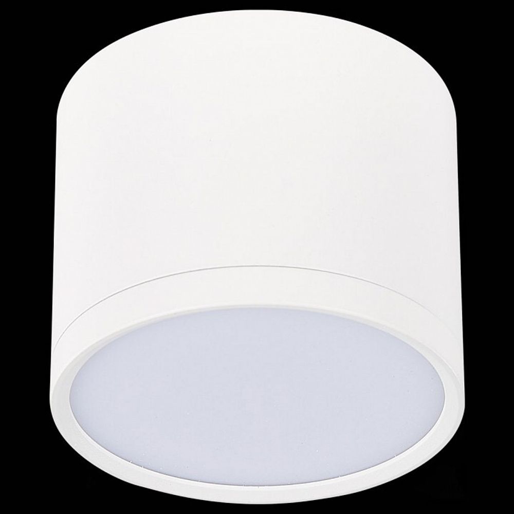 Накладной светильник ST-Luce Rene ST113.532.09