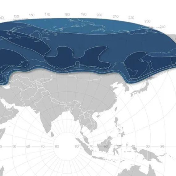 Газпром Ямал-401 Кu-диапазон, оборудование (до 20 Мбит/с)