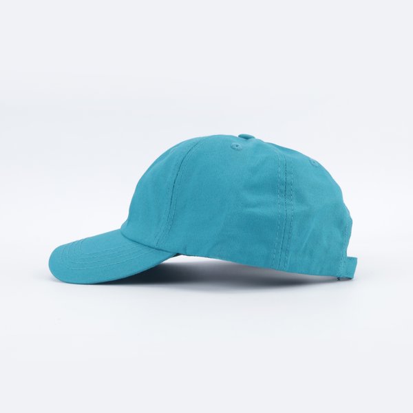 Кепка Anteater 6Panel (corsair) артикул: - купить в магазине Дайс