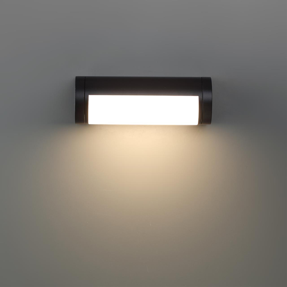 Уличный настенный светодиодный светильник Odeon Light TWINSET 7117/12WL