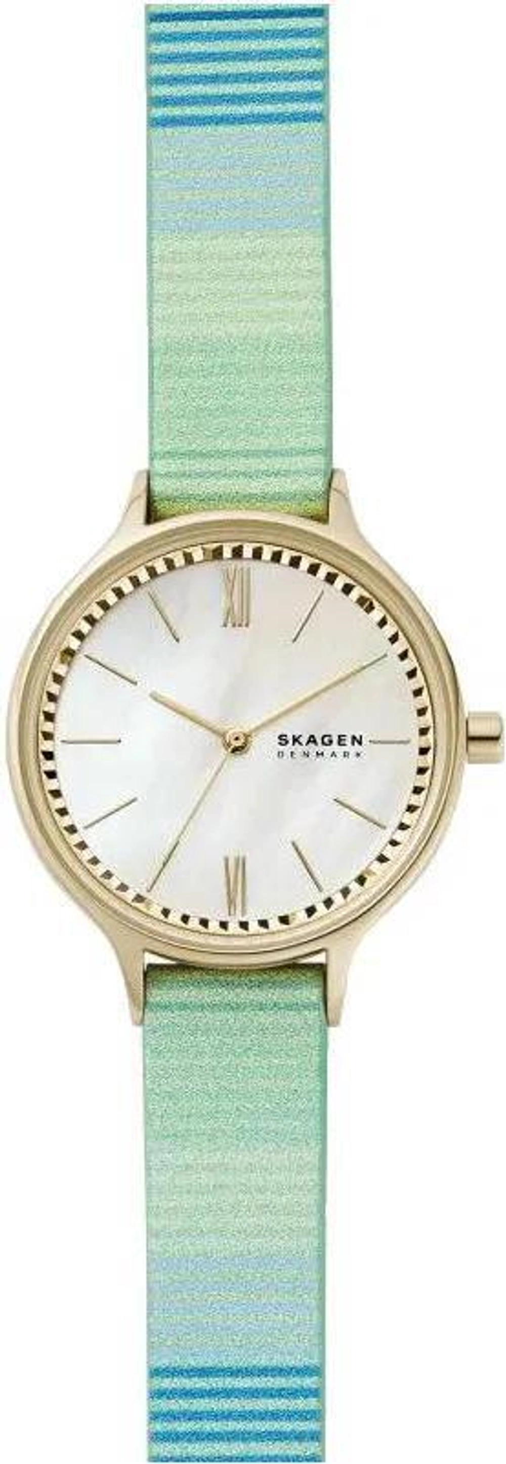 Женские наручные часы Skagen SKW2905