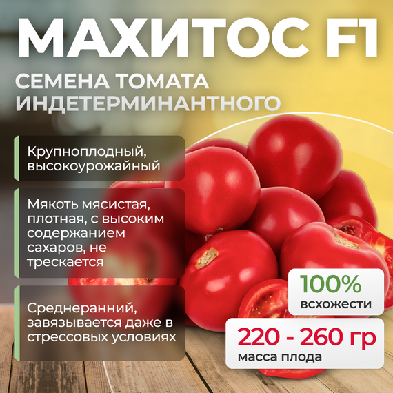 МАХИТОС F1 семена томата (Rijk Zwaan | Alexagro) купить