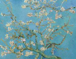 Коллекция Живопись