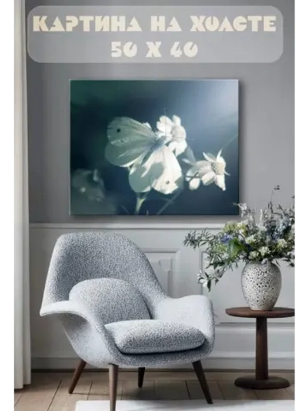 Картина на стену 40 X 50 Бабочка