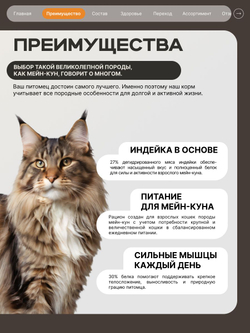 Корм сухой для кошек породы Мейн-кун, с индейкой, 400 гр, QUATTRO