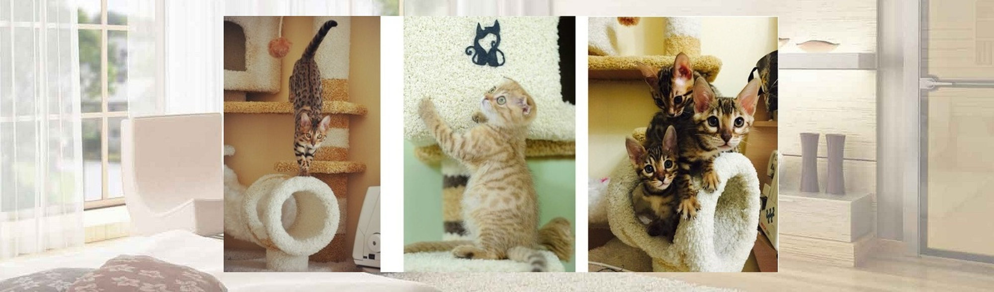 Слайдер Блок 5