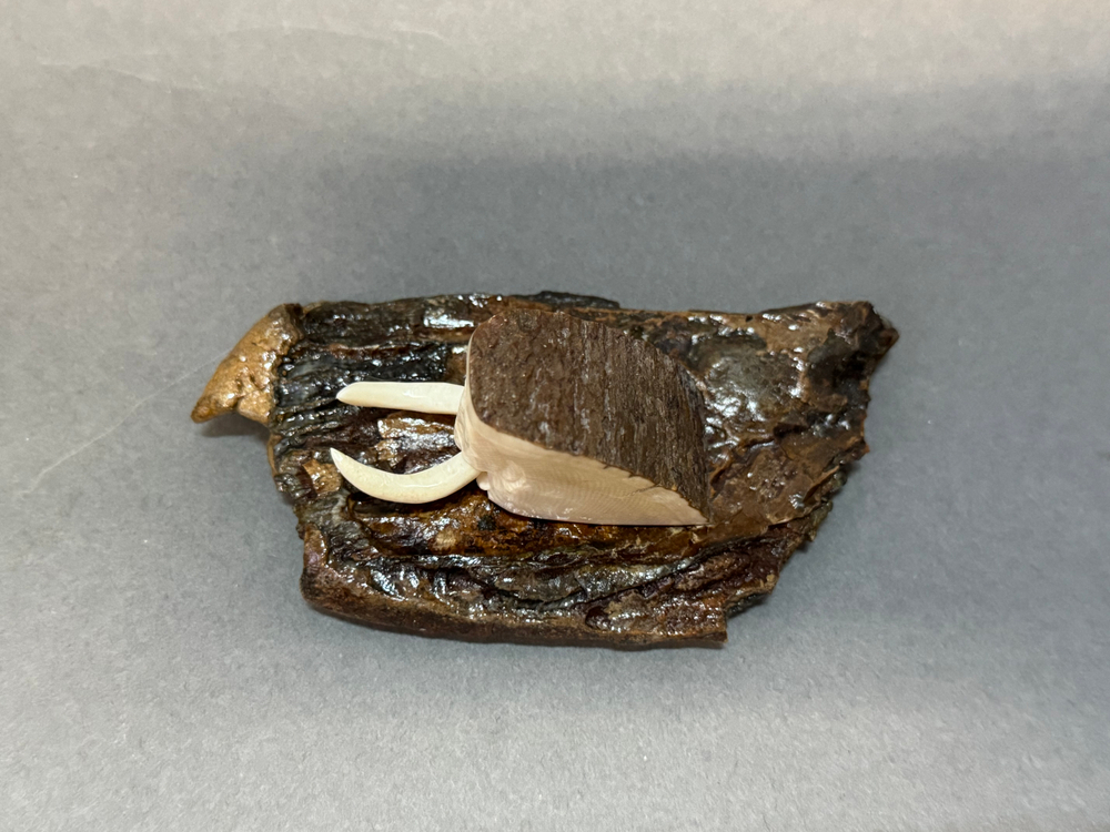 Мамонт шерстистый