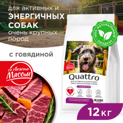 Корм сухой для взрослых собак очень крупных пород, премиум полнорационный комплекс, для активных и энергичных собак, с говядиной, 12 кг, QUATTRO