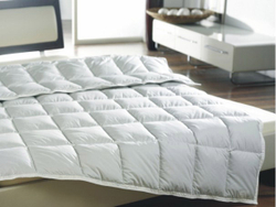 Одеяло пуховое легкое 200х200 Kauffmann Пух Гаги в хлопке Австрия фото