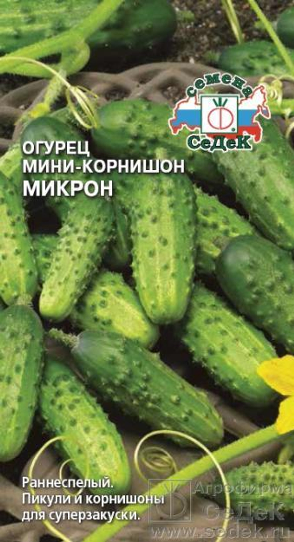 Огурец Микрон миникорнишон 0,5 г Седек