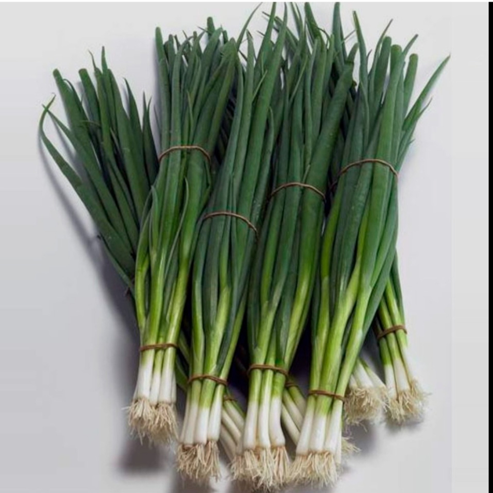 Лук на перо Грин баннер F1 -  Green Banner F1 100 000 семян