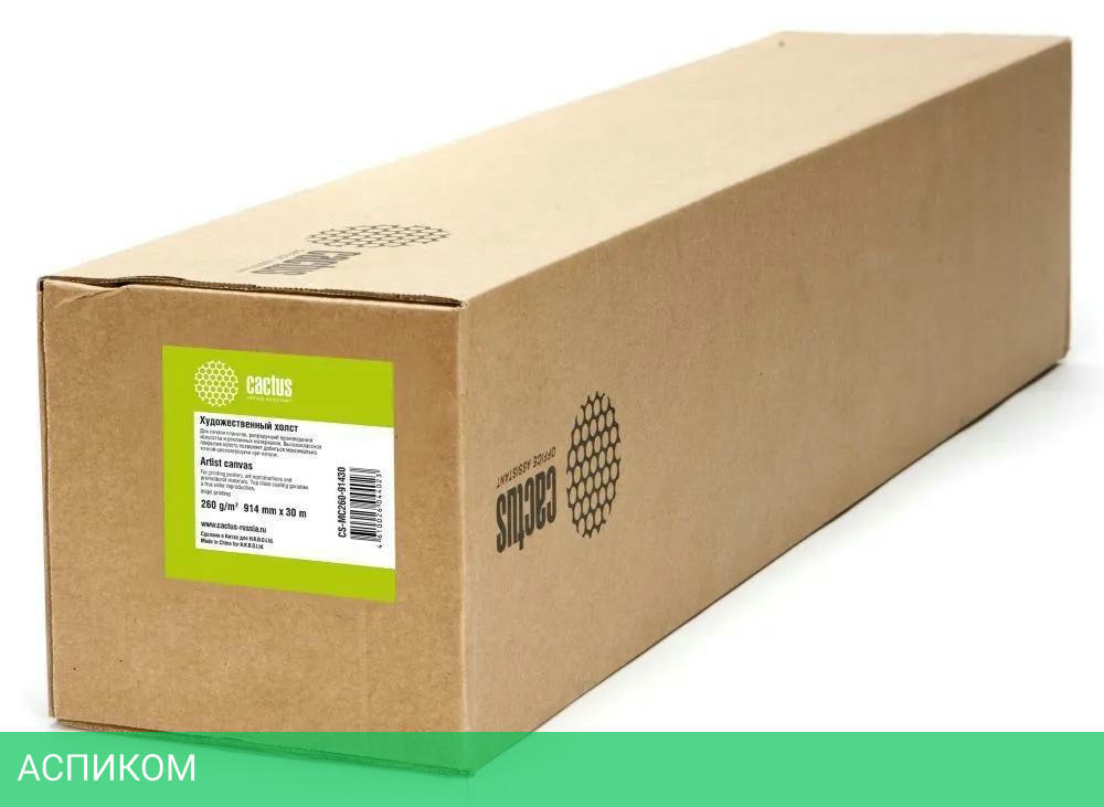 Холст CACTUS CS-MC260-152430 белый