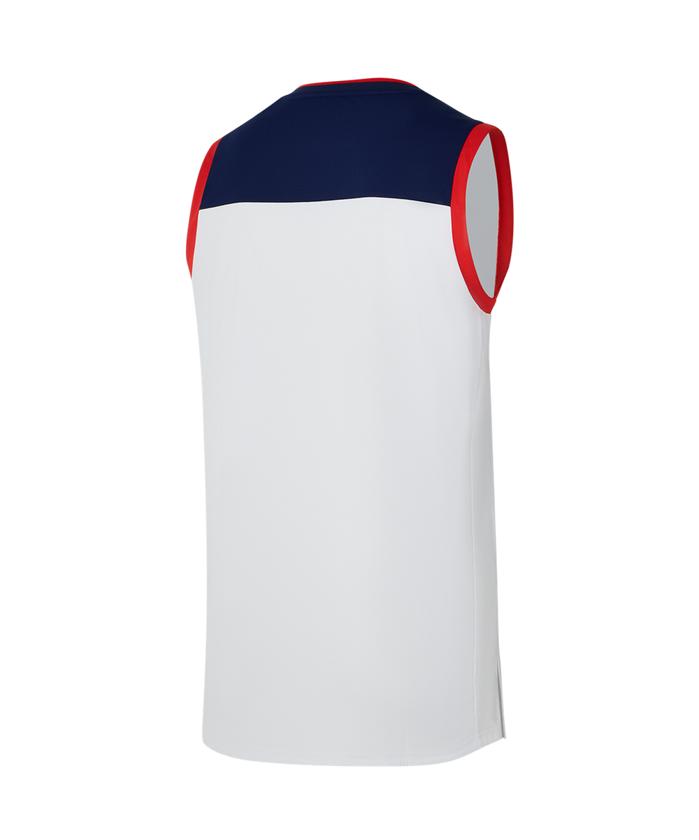 Майка баскетбольная DIVISION PerFormDRY RBF Jersey, белый
