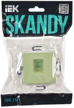 SKANDY Розетка компьютерная RJ45 кат.5E SK-K01G мятный IEK