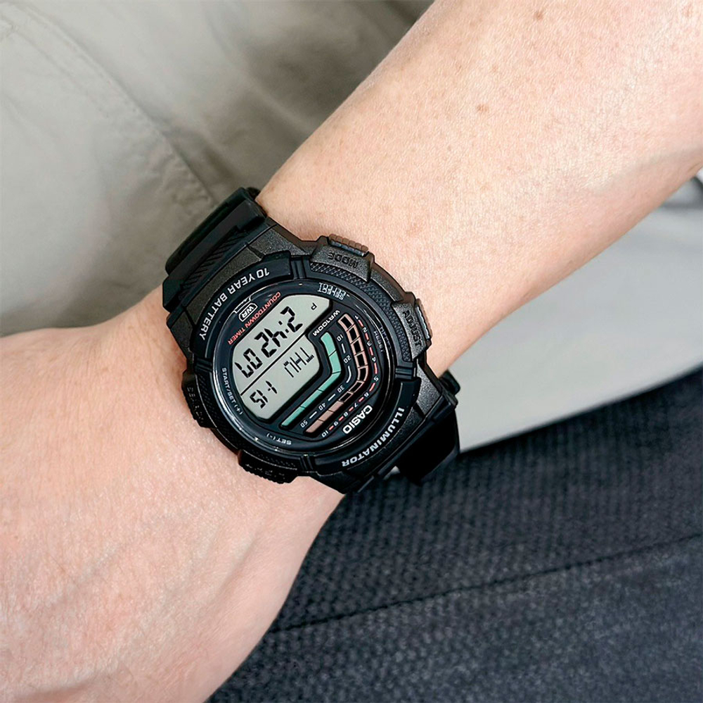 Мужские наручные часы Casio WS-1800-1A
