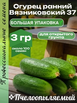 Семена Огурец Вязниковский 37 Пчелоопыляемый раннеспелый 3гр