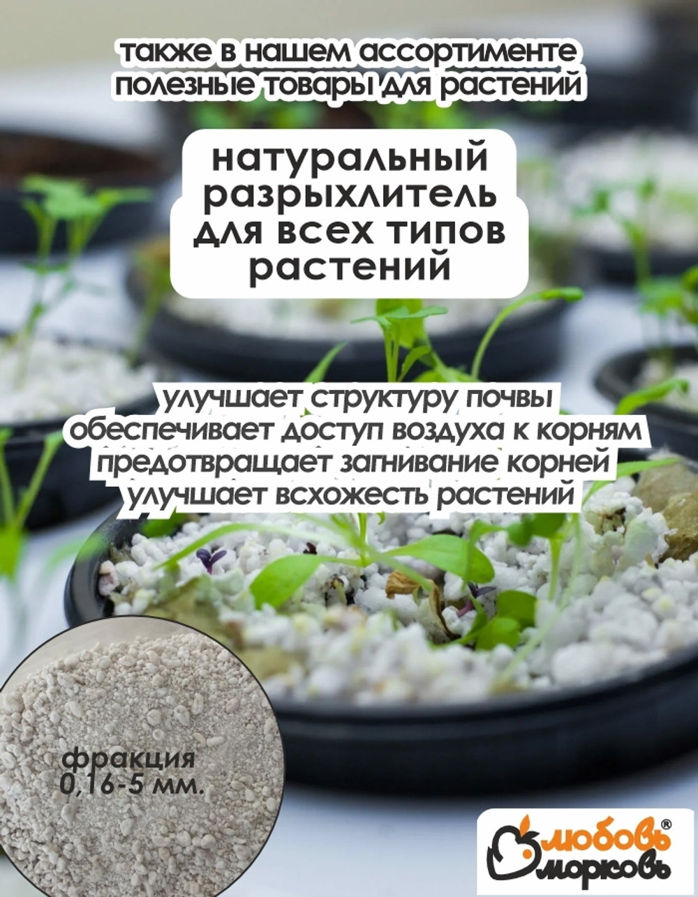 Корзина для луковичных растений, прямоугольная, 12 шт