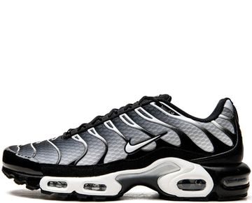 Кроссовки Nike Air Max Plus Black/Silver